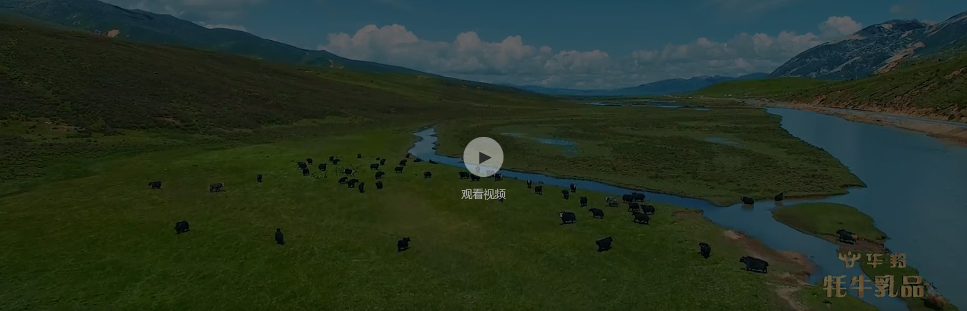 华体会网站国米赞助方