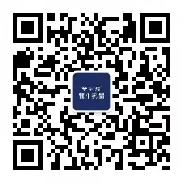 华体会网站国米赞助方